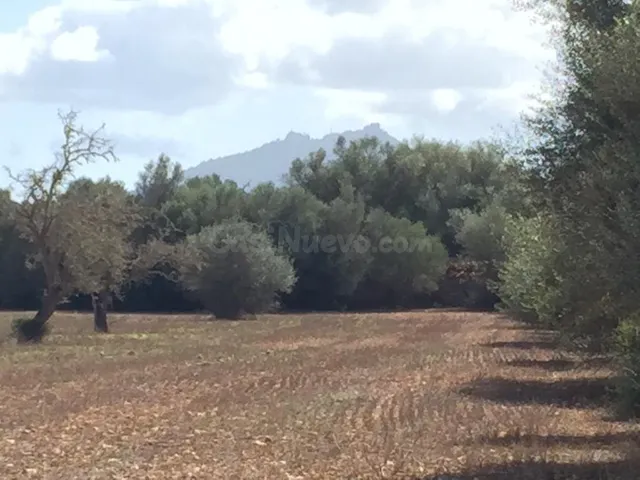 Finca rústica en Felantix.