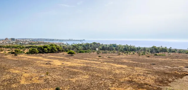 Apartamento 2 habitaciones 61m² en venta - Punta Prima — 5