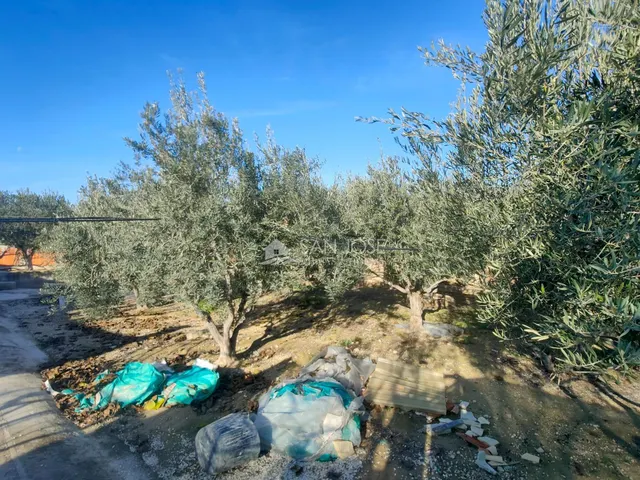 SE VENDE CHALET CON PISCINA EN MUY BUEN ESTADO EN ASPE ZONA DE UCHEL — 25