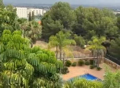 Villa 6 habitaciones 781m² en venta - El Palmar - foto 2