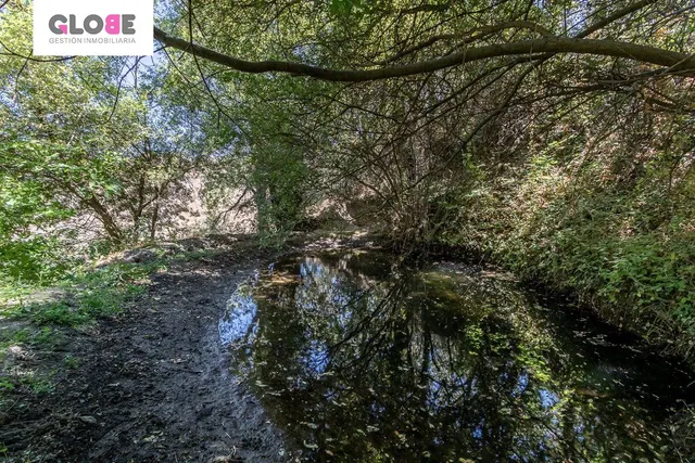 73.000 m2 Finca rústica con vivienda en Güéjar Sierra — 22
