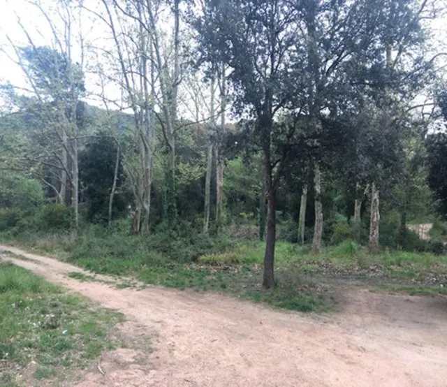 Terreno rústico en Calonge — 11