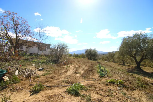 PARCELA RURAL CON CASA, ALMACEN Y ALBERCA. - foto 5