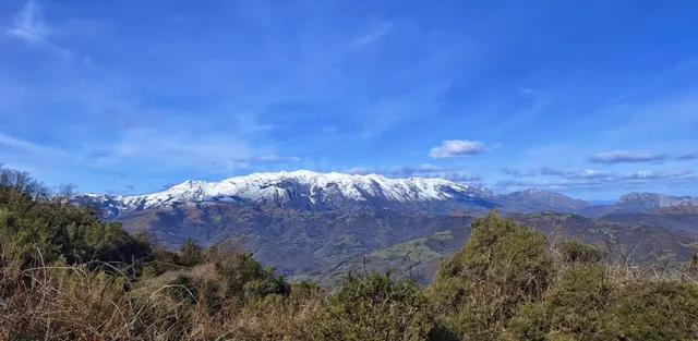 Parcela 11674m² en venta - Bo 67 - foto 4