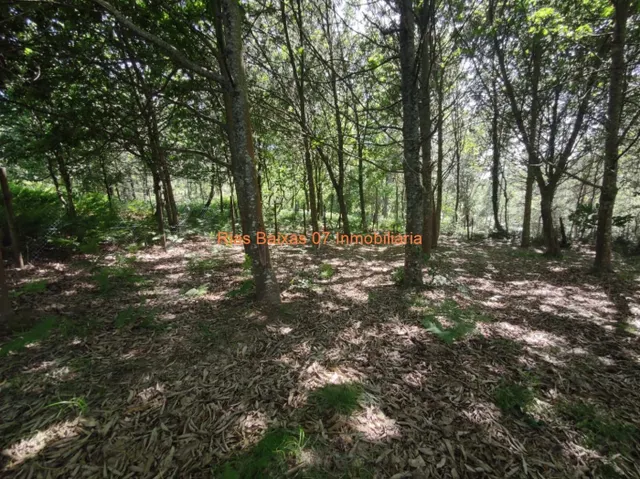 REF 2896 SOLAR 1500m2 CON PROYECTO Y LICENCIA ( MOS ) — 22