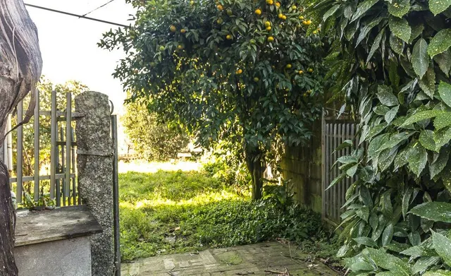 Encanto Gallego en Moraña: Casa de Piedra con Patio finca Bo - foto 3