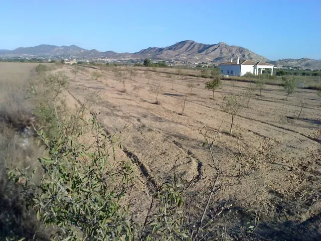 Inmobiliaria San Jose vende parcela en Aspe - foto 2