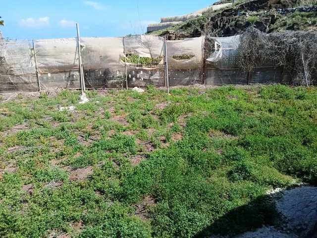 Casa con finca en Buenavista del norte — 7