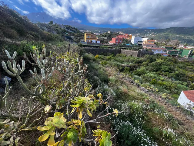 FINCA RÚSTICA CON ESTANQUE Y CUARTO DE APEROS EN ICOD DE LOS VINOS — 26