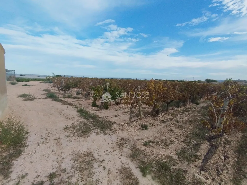SE VENDE TERRENO EN NOVELDA