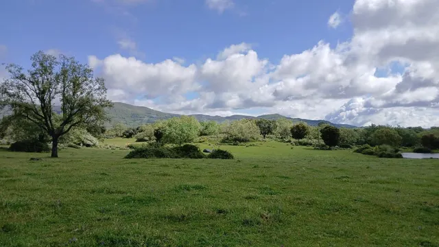 FINCA RUSTICA IDEAL PARA GANADO - foto 3