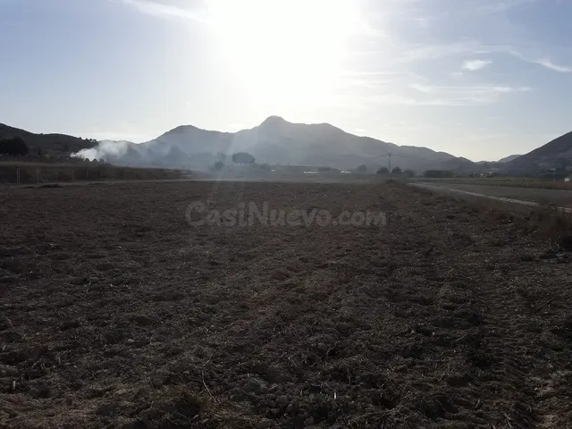 TERRENO RUSTICO PARA CONSTRUIR EN ASPE ZONA DEL TOLOMO - foto 4