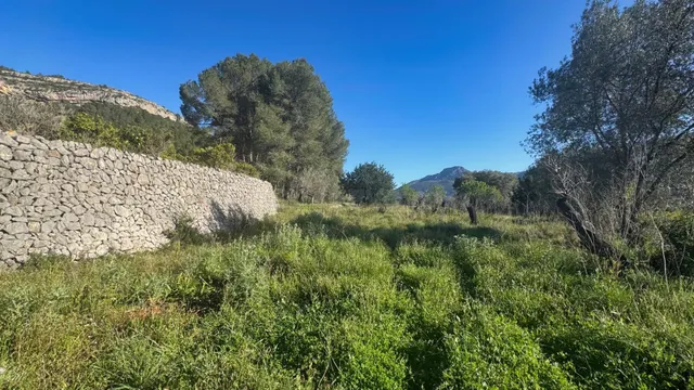 Parcela rústica edificable en entorno natural privilegiado — 5