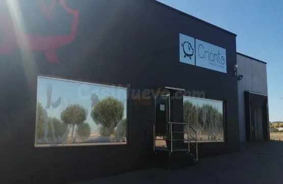 Nave industrial 1573m² en venta - MERCASALAMANCA - foto 2