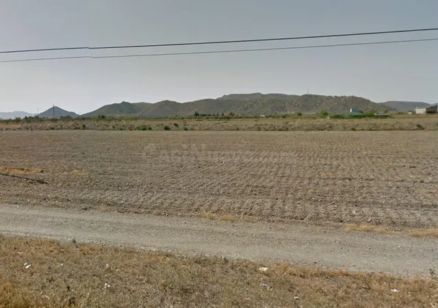 FINCA RÚSTICA CON ALMACÉN E INVERNADERO — 4