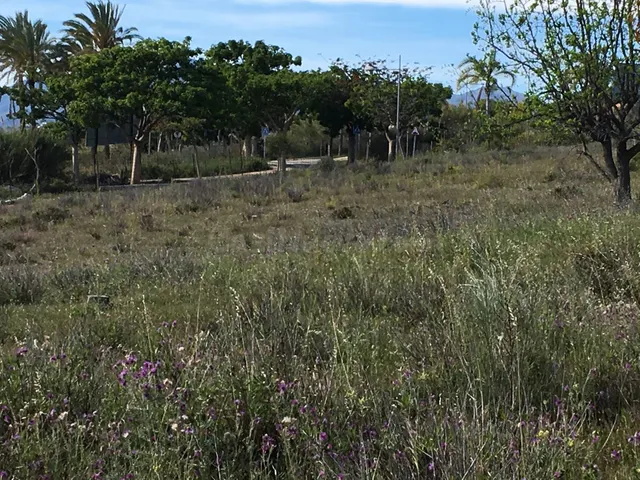 Parcela 200m² en venta - Costa Del Sol - foto 2