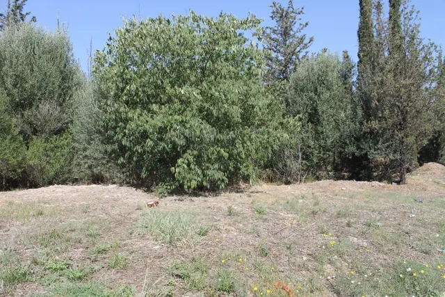 Terreno Industrial en Olesa de Montserrat en Venta o Alquiler — 12