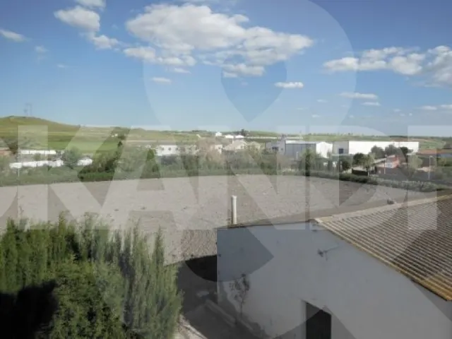 Casa TIPICA DE PUEBLO CON FINCA IDEAL PARA CASA RURAL — 18