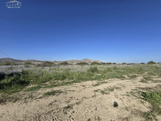 Terreno en Aspe