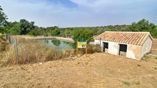 FINCA DE 6 Hectáreas con CASA CORTIJO para reformar — 18