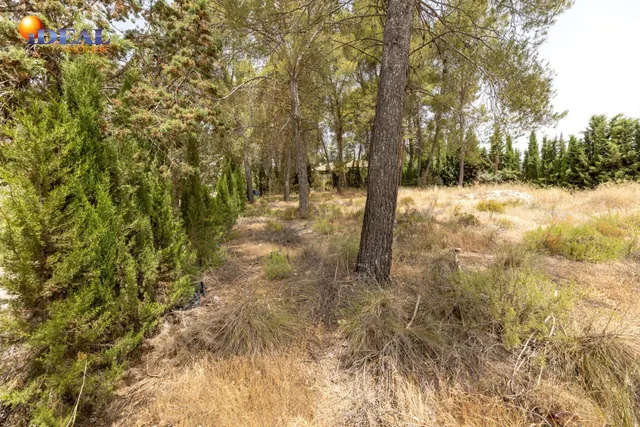 EXCLUSIVO TERRENO EN VENTA EN ALBOLOTE — 21
