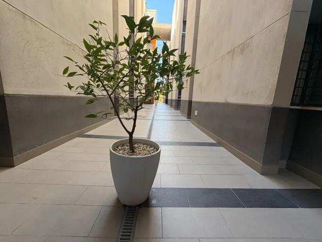 Alquilamos este fabuloso piso amueblado en novosur, alhendin. — 15