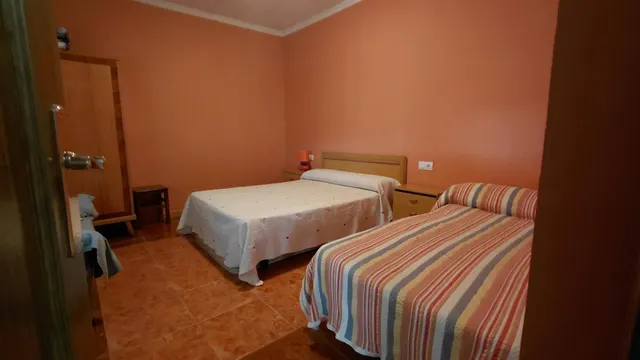 Casa de campo con parcela vallada, pinada, zona de olivos y amplia área de barbacoa — 11
