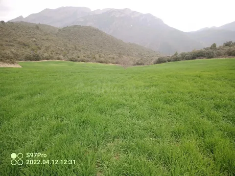 IMPRESIONANTE FINCA! Fantástica Finca en Ager de 110.000 m2