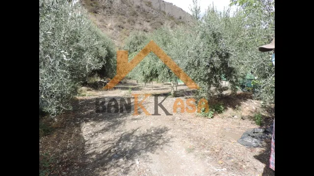SE VENDE CASA CON TERRENO EN CHERÍN (UGÍJAR) PROVINCIA DE GRANADA — 41