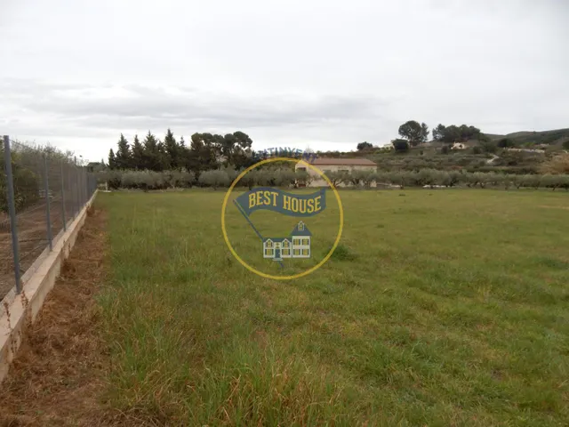 TERRENO MUY CERCA DE ONTINYENT — 2