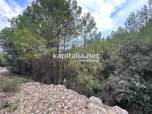 Parcela a la venta en Alfafara — 5