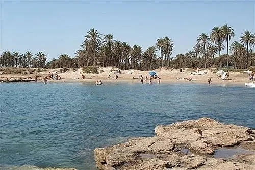 PARCELA EN LA MARINA