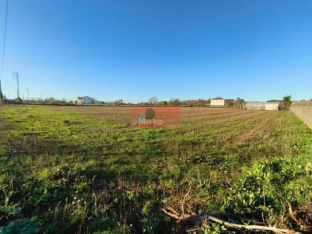 SE VENDE FINCA EDIFICABLE PARA CHALETS CERCA DE NADELA — 8