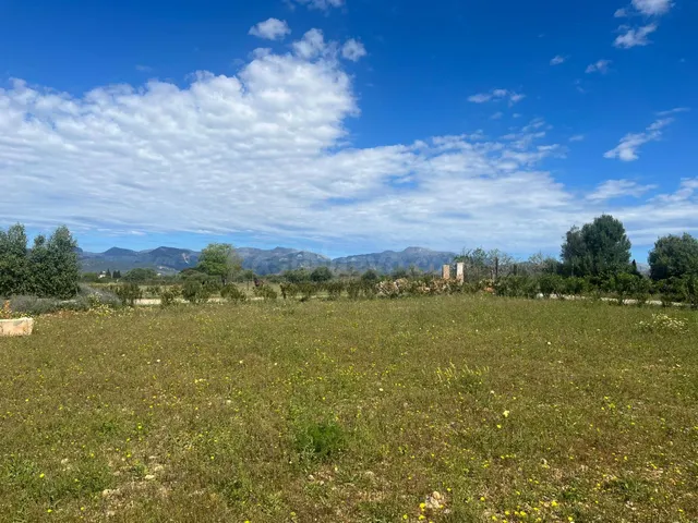 Terreno rústico de 25.000 m2 con proyecto y licencia aprobad - foto 5