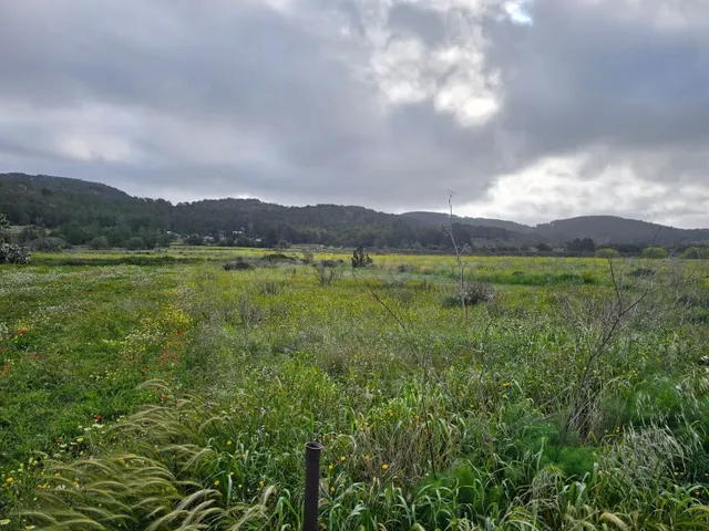 Terreno rural en venta - Santa Agnés de Corona - Sant Mateu 