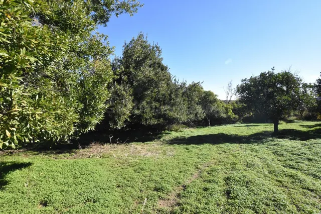 Inversión Ideal en El Pedroso: Terreno Rural con Potencial - foto 2