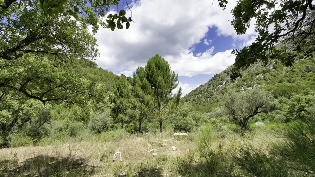 Parcela en venta - South of spain — 13
