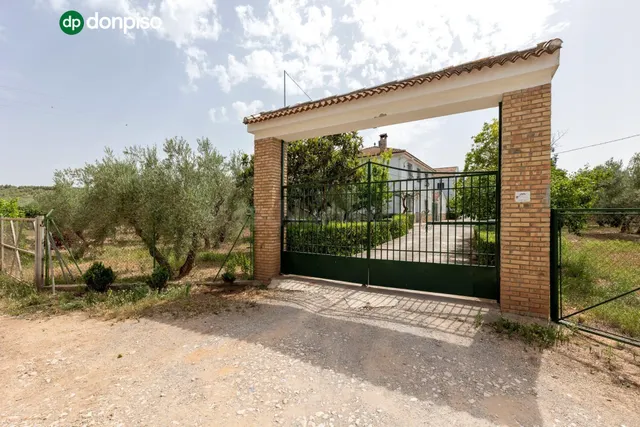 Finca en el término "Los LLanos " en Moraleda de Zafayona a 20 minutos de Granada Capital — 5