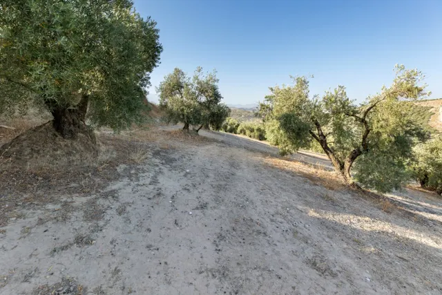 Terreno rural en venta - Alfacar — 12
