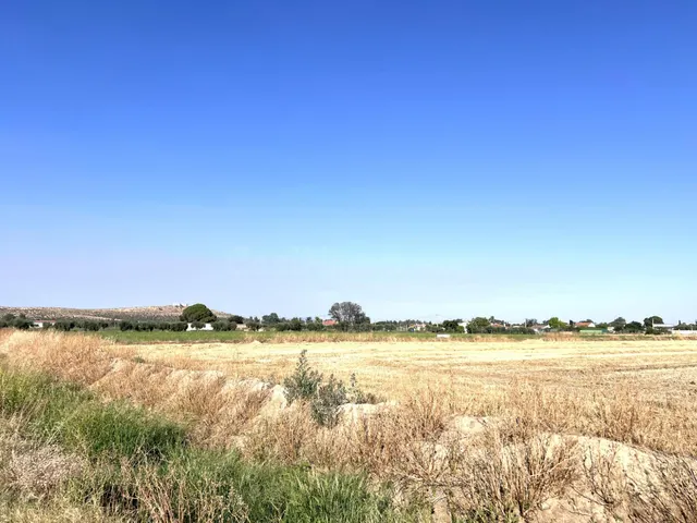 PARCELA RÚSTICA EN LA ZONA CAMINO DE LOS RANCHOS - foto 3