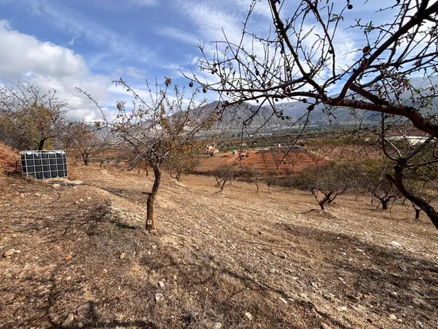 Fincas Rústicas en Nigüelas, Granada — 8