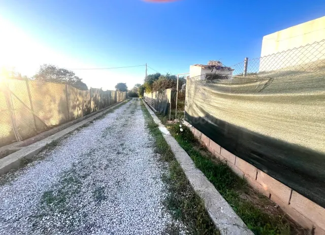 Terreno Rural en Carcaixent a la venta! - foto 4