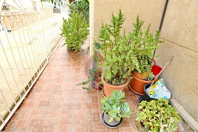 Espectacular bungalow en esquina con gran solárium, jardín privado y piscina en Guardamar del Segura — 45