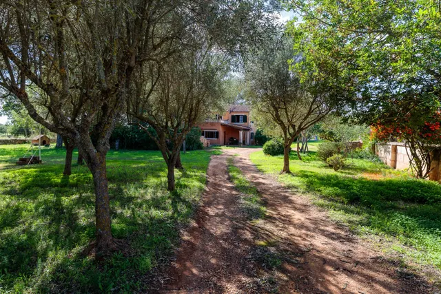 Casa rústica con piscina y amplios exteriores en Llucmajor — 47