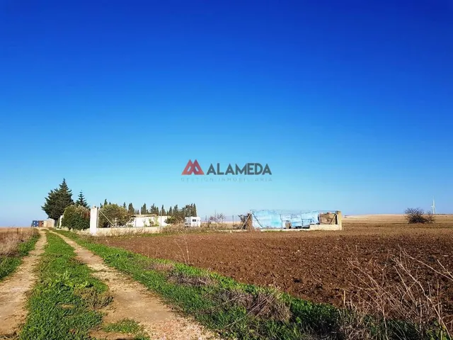 PARCELA SEGREGADA MIRALAMAR — 7