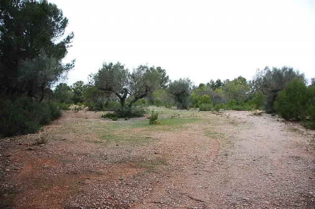 Finca rústica en venta - Afueras del pueblo — 3