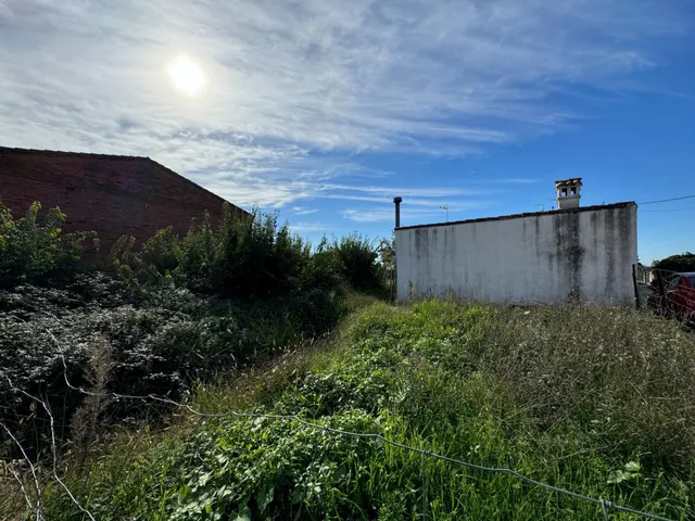 el carrascal — 17