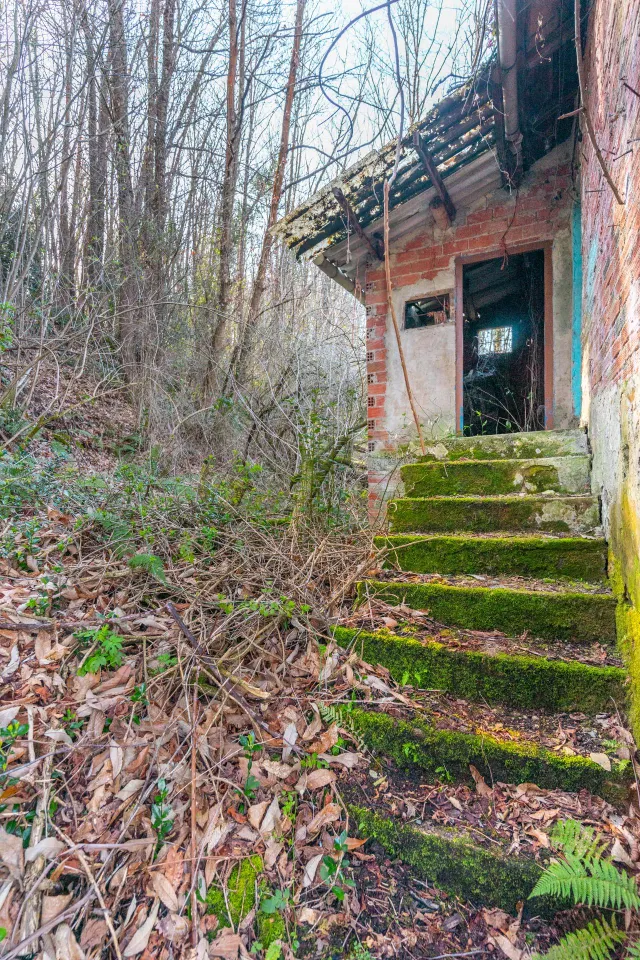 Oportunidad real: casa con parcela para rehabilitar en Tineo — 21