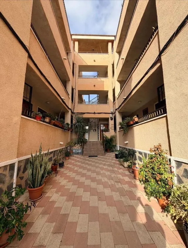 Estudio 1 habitación 26m² en venta - La Siesta - El Salado - Torreta — 6