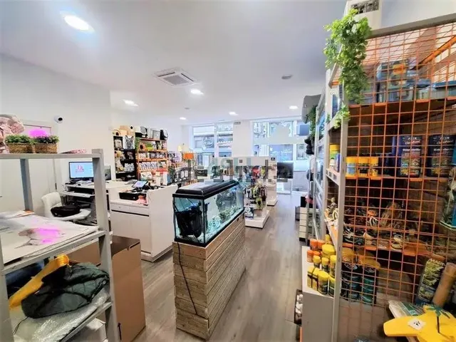 Alquiler de local comercial Centrico Calle manuel pereira - foto 5
